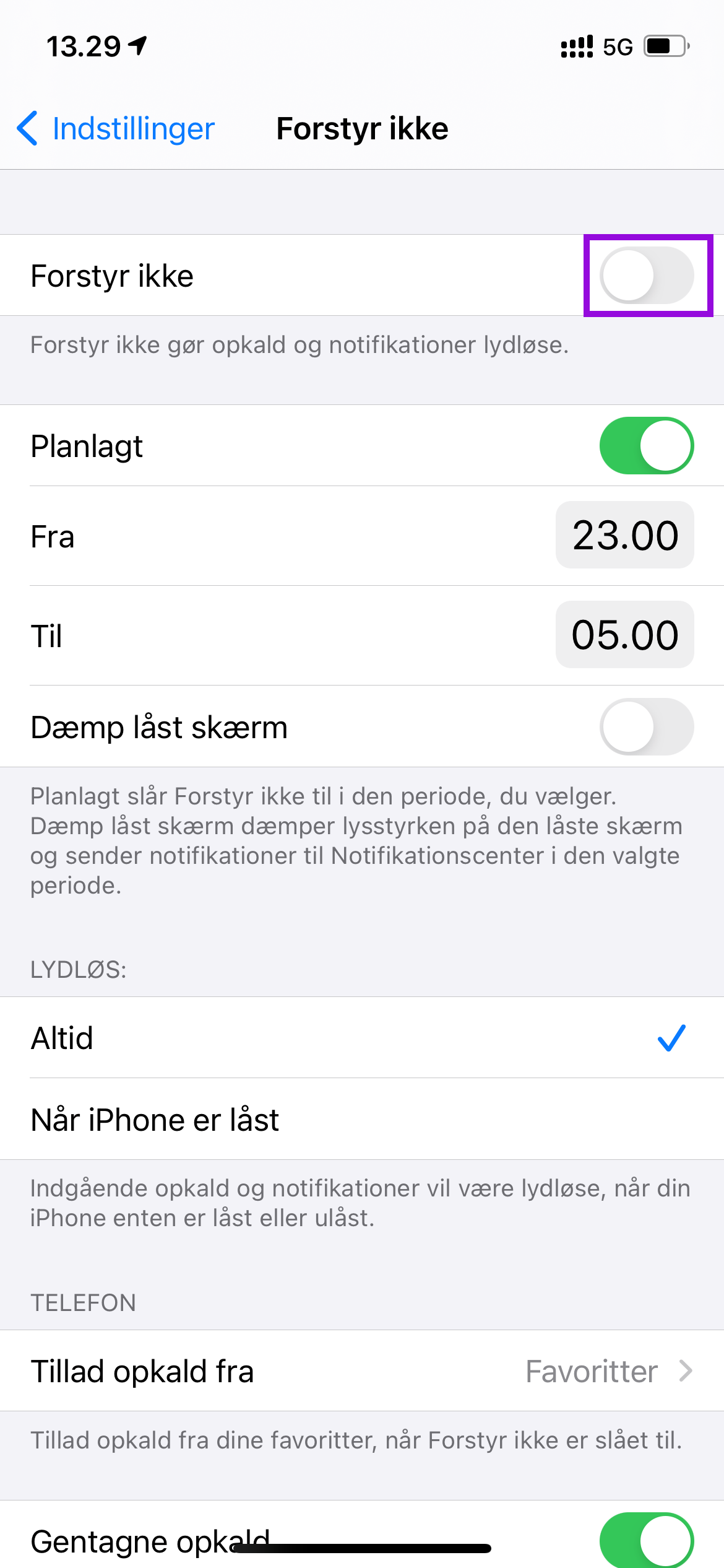 iPhone_Forstyr-ikke-setup_2.png